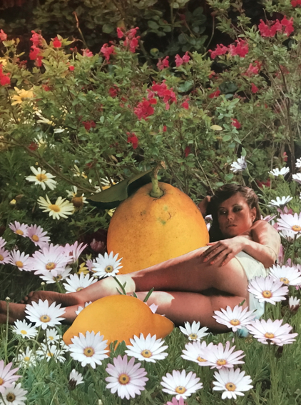 So Much Bitter When We're Together, 2019 Collage