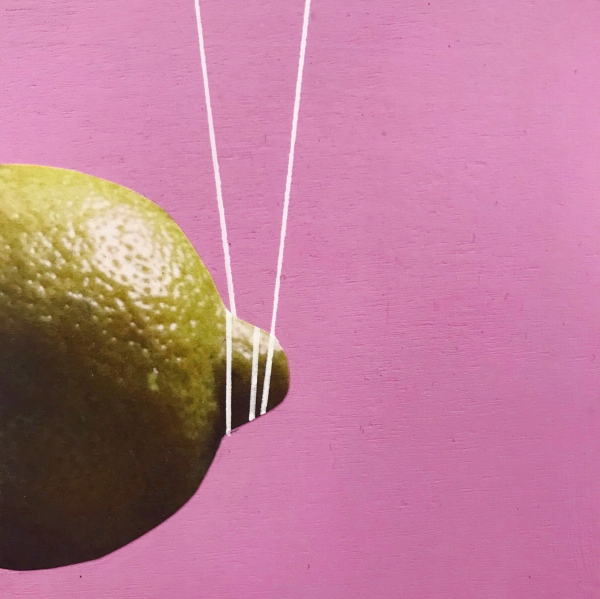 Bump & Rind, 2017 Mixed media on wood